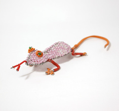 Rosa gecko small funky
